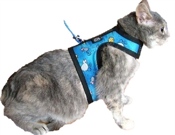 designer cat harness