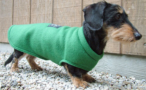 Collarless Cuddler Dachshund Coat 