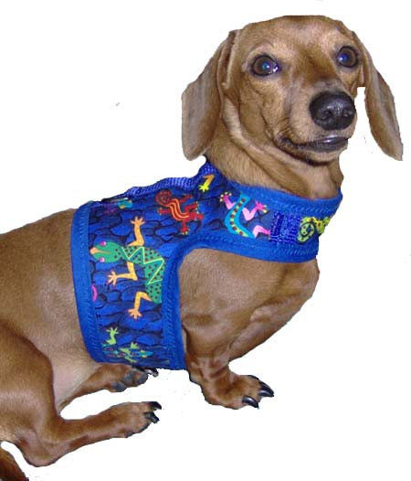 weiner dog harness