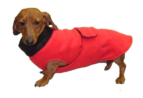 weiner dog jackets