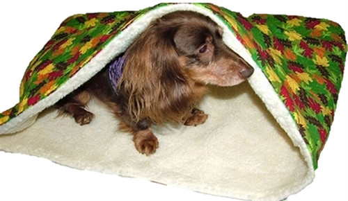 dachshund burrow bed