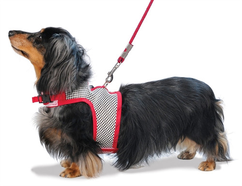hug a dog harness
