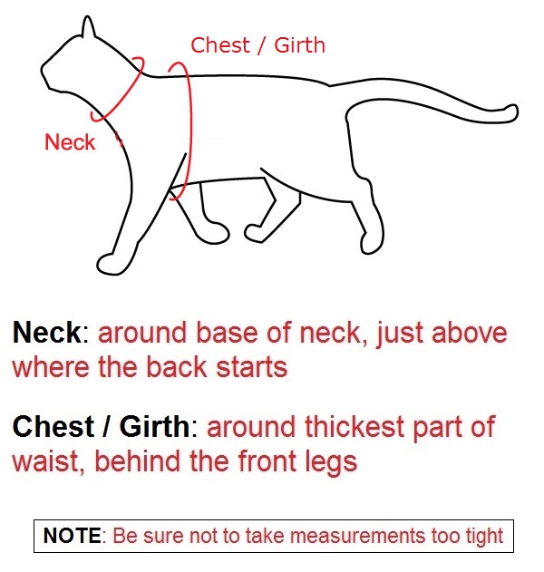 measuring cat for harness