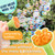 Sensory Bubble Play Skin Happy Botanical Bubbles & Blower Set (3 Colors)
