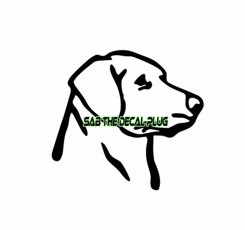 Short Hair Lab