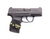 Sig Sauer P365 9mm 
