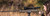 Nightforce X-Treme Duty Ultralite Ring Set on a rifle