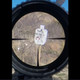 view through a Strike Eagle LPVO scope with EBR8 BDC reticle