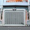 Custom Punched Grille Insert With Horizontal Ovals For Western Star 4964EX Lowmax