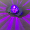 Purple 15 LED 1157 Bulb W/ Chrome Aluminum Housing For Watermelon Glass Lens