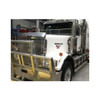 Stainless Steel Bug Shield For Western Star 4964 Constellation