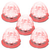 Legendary Glass 3-1/2 Inch Watermelon Red-Clear LED Light W/O Bezel-5 Pack
