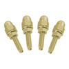 Gold License Frame Fastener