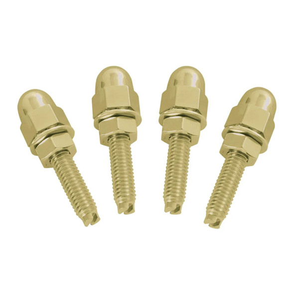 Gold License Frame Fastener