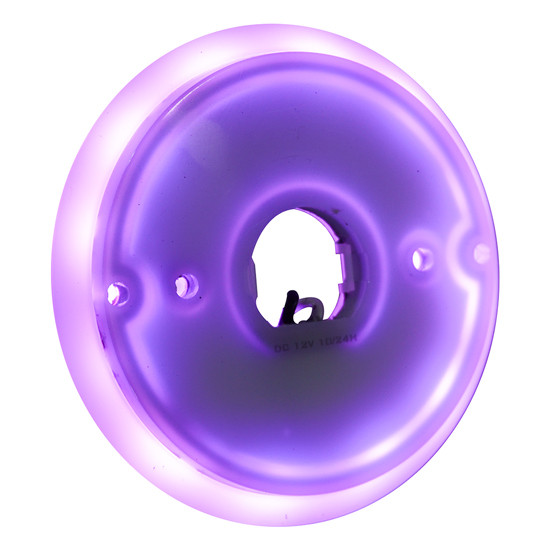 Purple Glow Halo Accent Ring For Watermelon Lights By RoadWorks