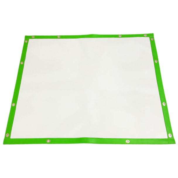 White Bug Screen W/ Lime Trim For International Prostar