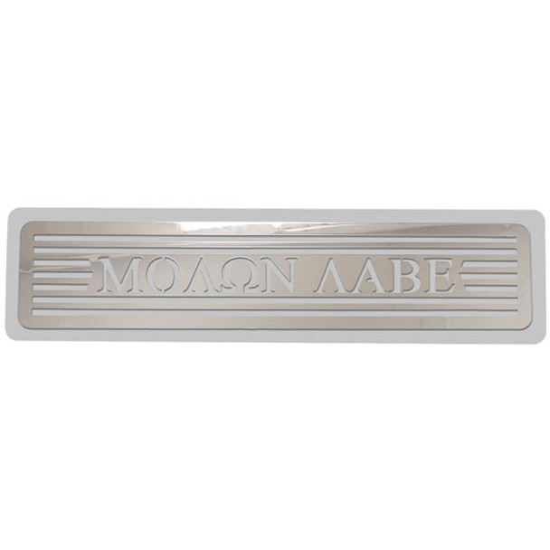 CSM Molan Labe Step Plate - Plain, 5 X 20 X 1/4 Inch