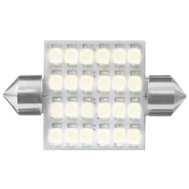 211-2 Dome Type 24 White LED Bulb