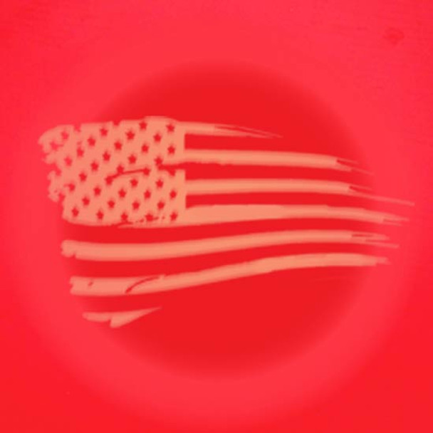 CSM Emblem Projector Illuminates American Flag - Red Or White Light