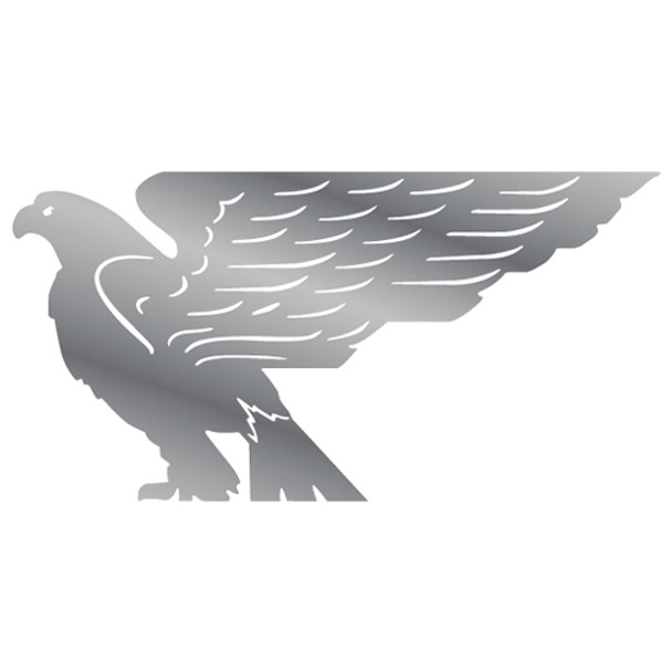 18 Gauge 17.5 Inch by 9 Inch Stainless Steel Eagle Accent Truck Sign - Left Facing