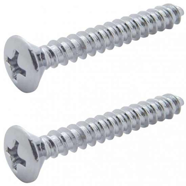 Chrome Stainless Steel Mounting Screws For Kenworth Dome/Map Light