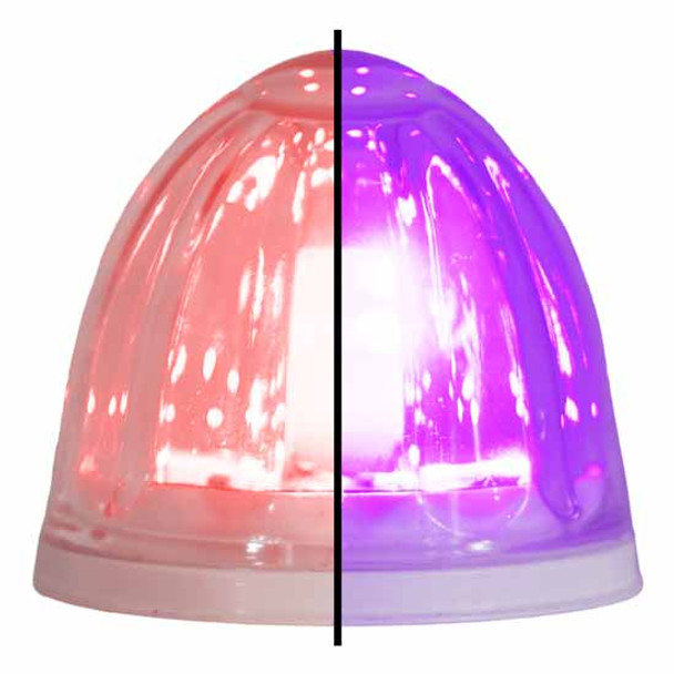 2 Inch Glass Watermelon 4 Wire Dual Tone LED Lights- Red- Purple LED/ Clear Lens By Legendary