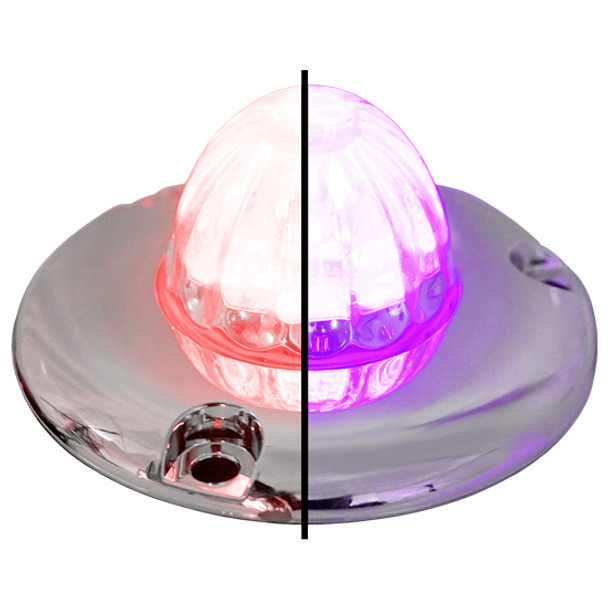 1.5 Inch Small Watermelon Style Dual Function & Tone Light W/ Flat Chrome Bezel & Red- Purple LED/ Clear Lens By Legendary