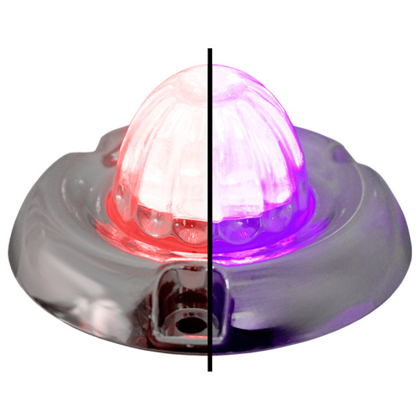 1.5 Inch Small Watermelon Style Dual Function & Tone Light W/ Inset Chrome Bezel & Red- Purple LED/ Clear Lens By Legendary