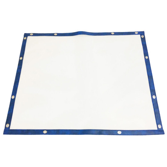 White Bug Screen With Blue Trim For Kenworth T2000