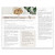 Deep Night Essence Brochure Pack