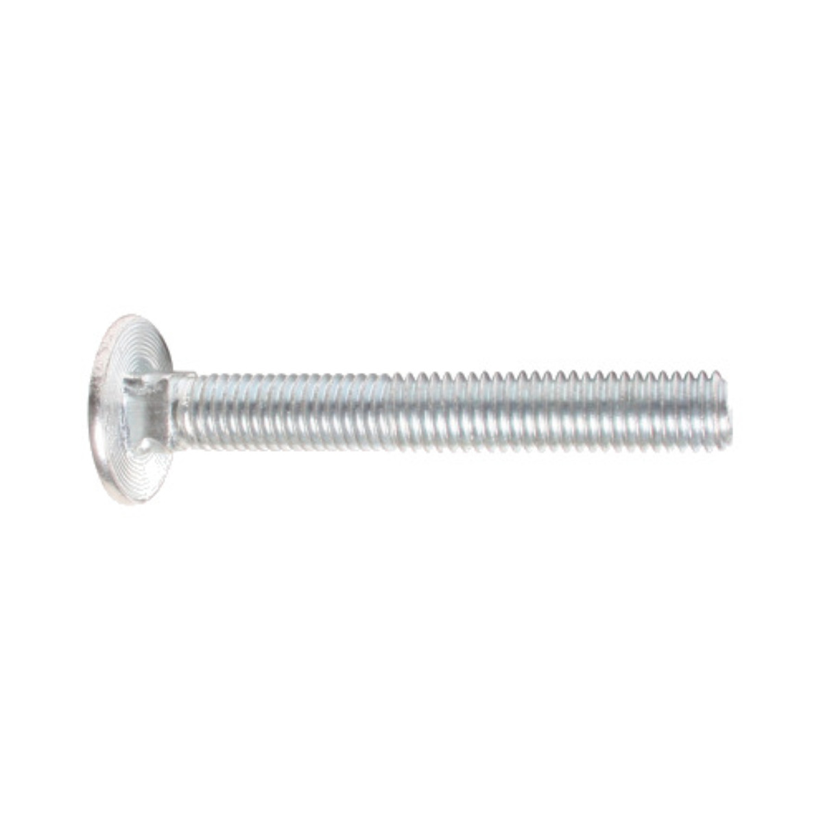 A2 stainless steel carriage bolt M6 x 50mm with domed head and square neck