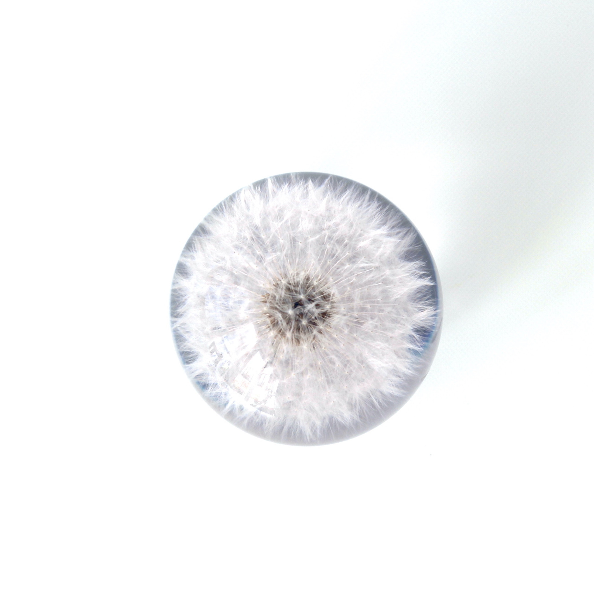 Sustainable Plant Based Eco-Resin Sphere Paperweight - Dandelion – Lei-Lei