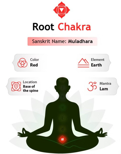 2-PAK ROOT CHAKRA ACTIVATION TEA - LIMITED TIME! 2-PAK ROOT CHAKRA ACTIVATION TEA - LIMITED TIME!