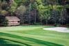 Augusta National Golf Club Hole 11 White Dogwood Amen Corner Masters Tournament Golf Course PGA 2570 Oil Painting Art Print 8x10-40x60in