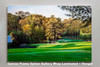 Augusta National Golf Club, Masters Tournament Hole 11 12 White Dogwood, Golden Bell golf course oil painting 2570 Art Print available as canvas rolled