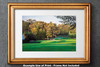 Augusta National Golf Club, Masters Tournament Hole 11 12 White Dogwood, Golden Bell golf course oil painting 2570 Art Print matted and gold framed example on the wall
