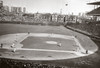 Chicago Cubs Wrigley Field Old MLB Baseball Photo 56 8x10-48x36