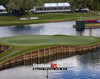 Sawgrass TPC Golf Hole  17 Tournament Players Club  8x10-48x36 Photo Print 1240