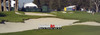 Riviera Country Club Golf Hole 17 8x10-48x36 Photo Print 1240