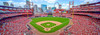 St. Louis Cardinals Busch Stadium 12 MLB 8x10-48x36 CHOICES