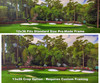 Augusta National Golf Club Masters Amen Corner Hole 13 Magnolia Art golf course oil painting art print 3000 full plus cropped version