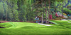Augusta National Golf Club Masters Amen Corner Hole 11 White Dogwood golf course oil painting art print 3000 13x26 up to 24x48 full view. This is cropped out of 12x36 ANGC112-3000