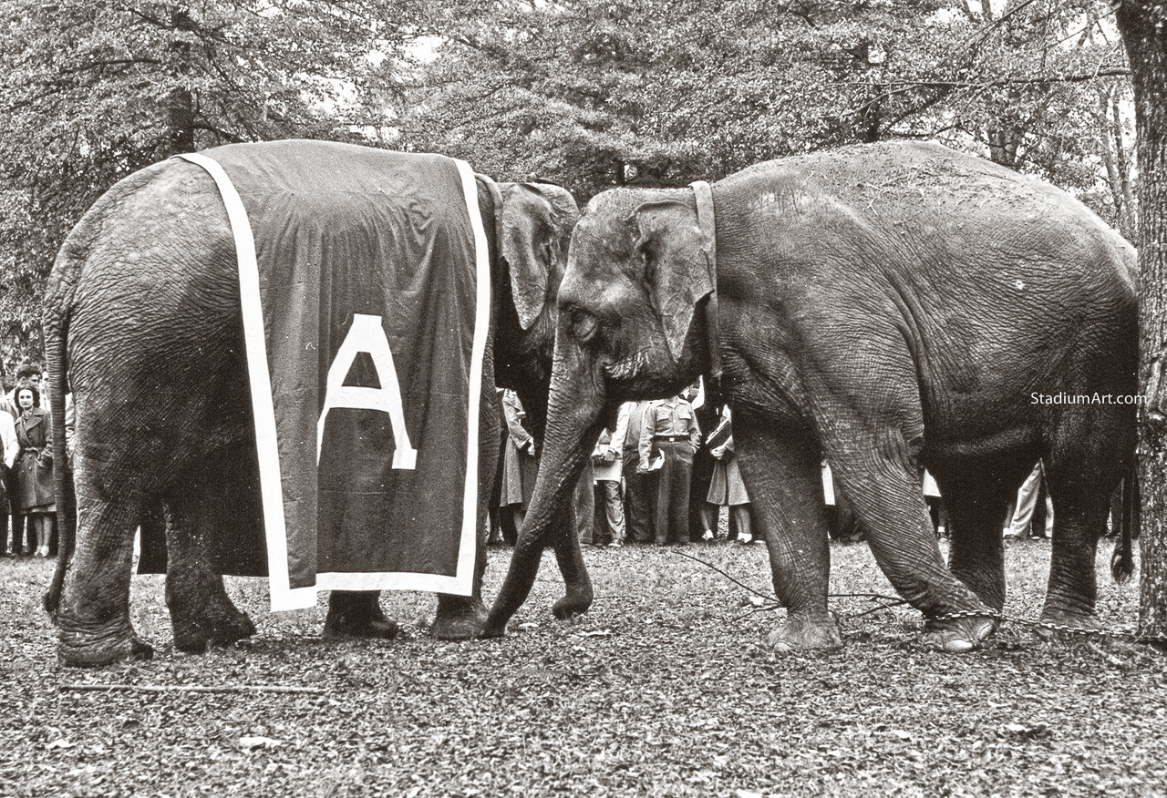 Alabama Crimson Tide Elephant Head