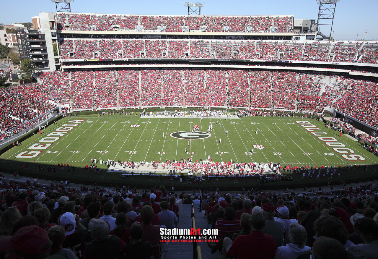 Georgia Bulldogs UGA Mascot 8x10 to 48x36 Photo Prints 08