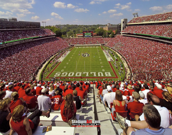 Georgia Bulldogs Sanford Stadium Football Field Photo Print 01 8x10-48x36