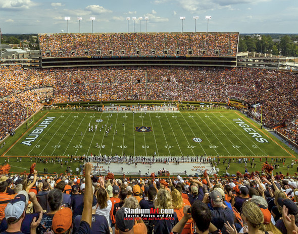 Auburn Tigers Jordan Hare Football Stadium Photo 8x10-48x36 Print 01