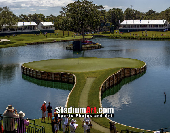 Sawgrass TPC Golf Hole  17 Tournament Players Club  8x10-48x36 Photo Print 1230