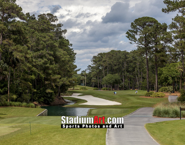 Sawgrass TPC Golf Hole 10 Tournament Players Club  8x10-48x36 Photo Print 1520