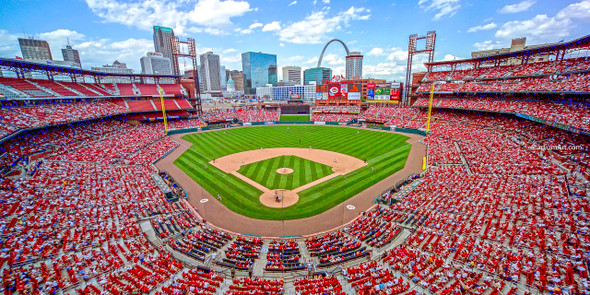 St. Louis Cardinals Busch Stadium 12 MLB 8x10-48x36 CHOICES