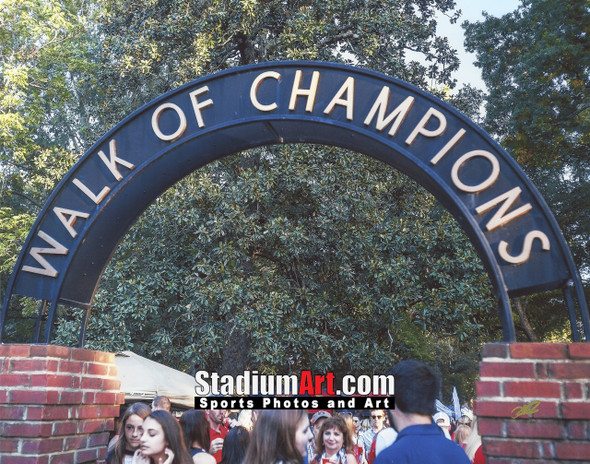 Ole Miss Rebels Mississippi Walk of Champions Grove NCAA College Football 8x10-48x36 Photo Print 5320